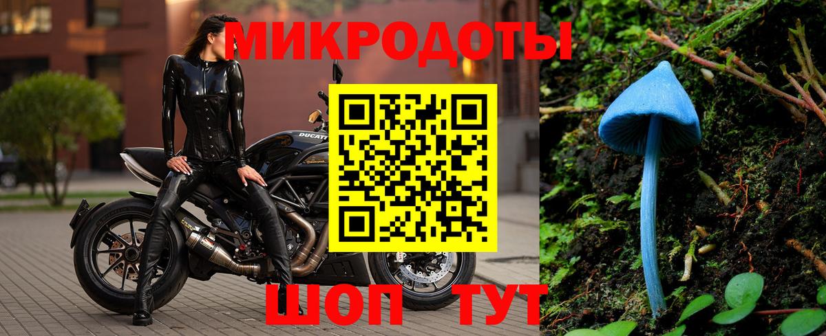 Псилоцибиновые грибы Psilocybine cubensis Чернушка