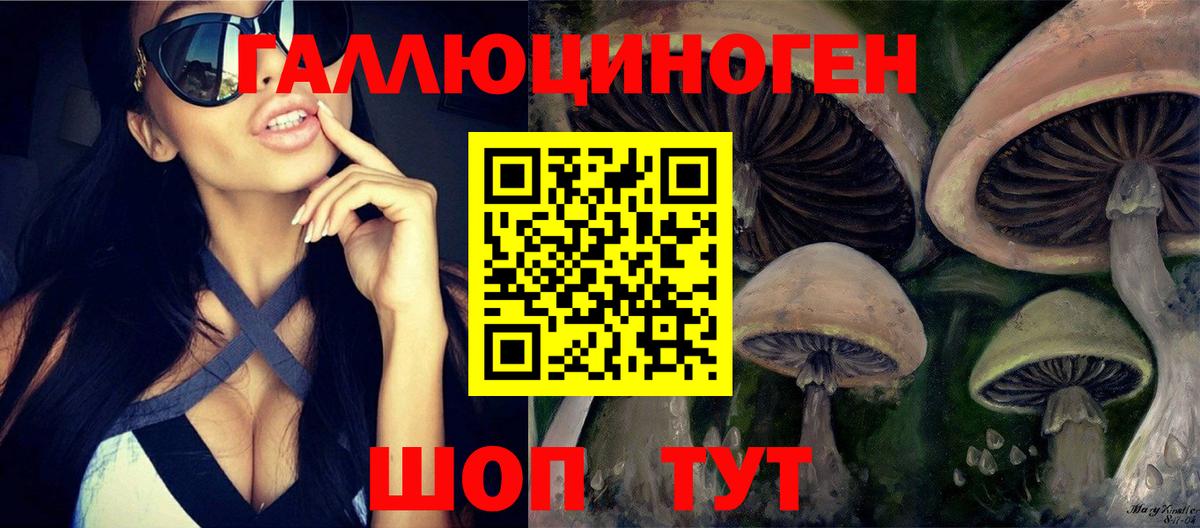 Псилоцибиновые грибы Psilocybine cubensis  Вход с VPN  Чернушка 